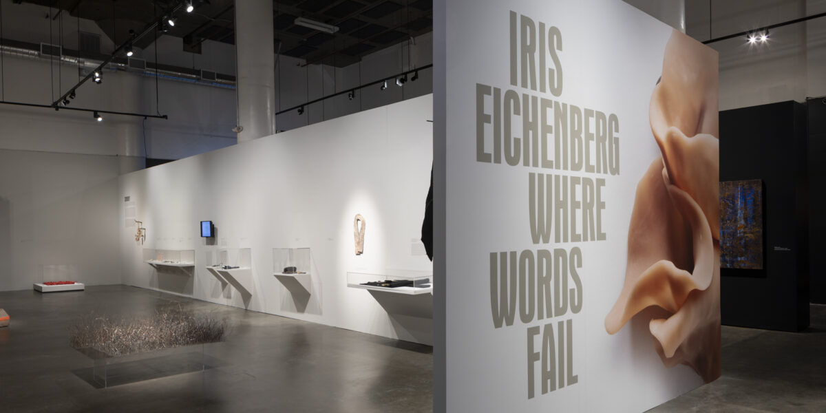 Photo of marquee wall with exhibition title: Iris Eichenberg: Where Words Fail