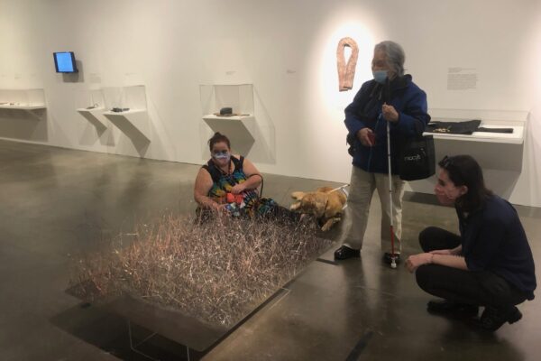 A group of people observe a piece of artwork during Access After Hours