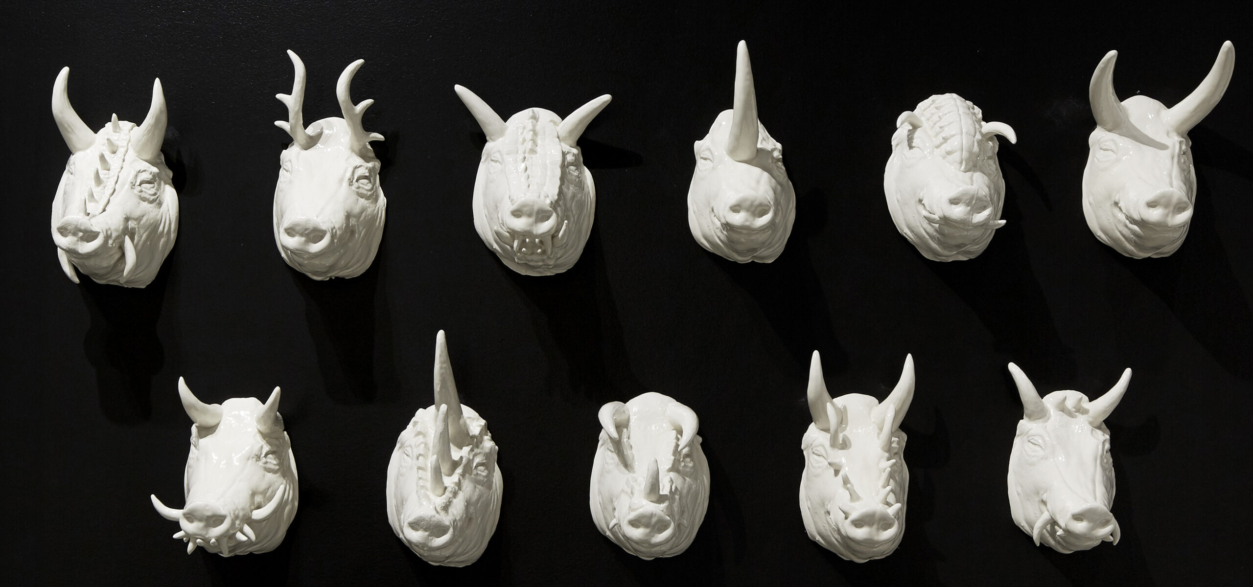 Ceramic boar heads with black background