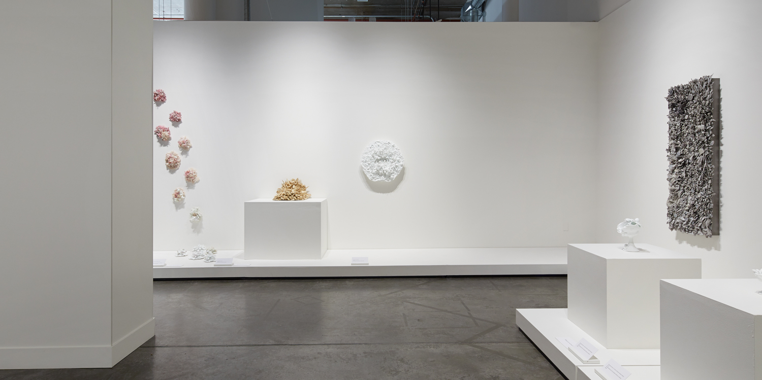 Exhibition of white walls and glass sculptural pieces