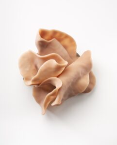 Skin color sculpture of organic shape