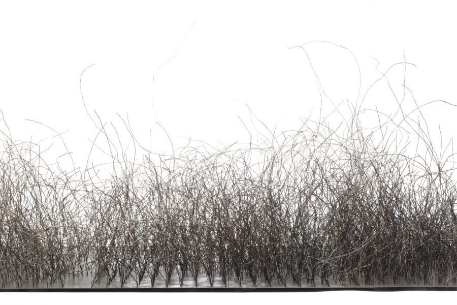 horizontal metal sculpture with strands coming out of it looking like grass or hair