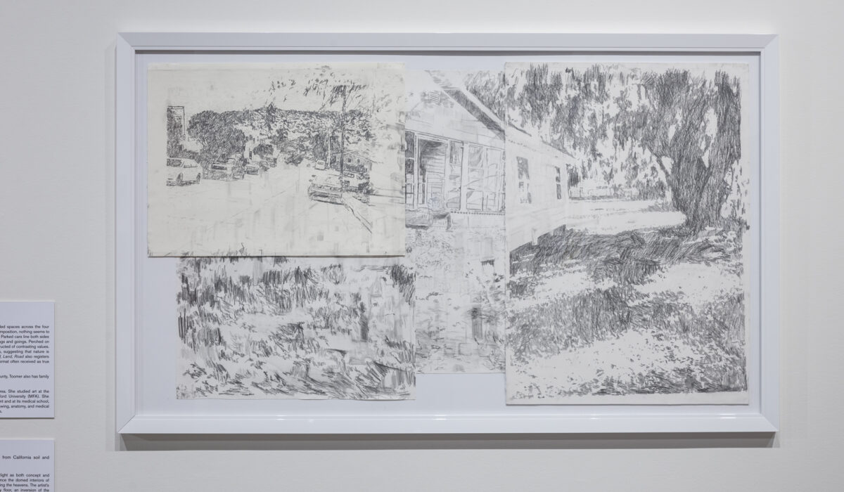 Graphite on paper drawing, framed and hung on a wall