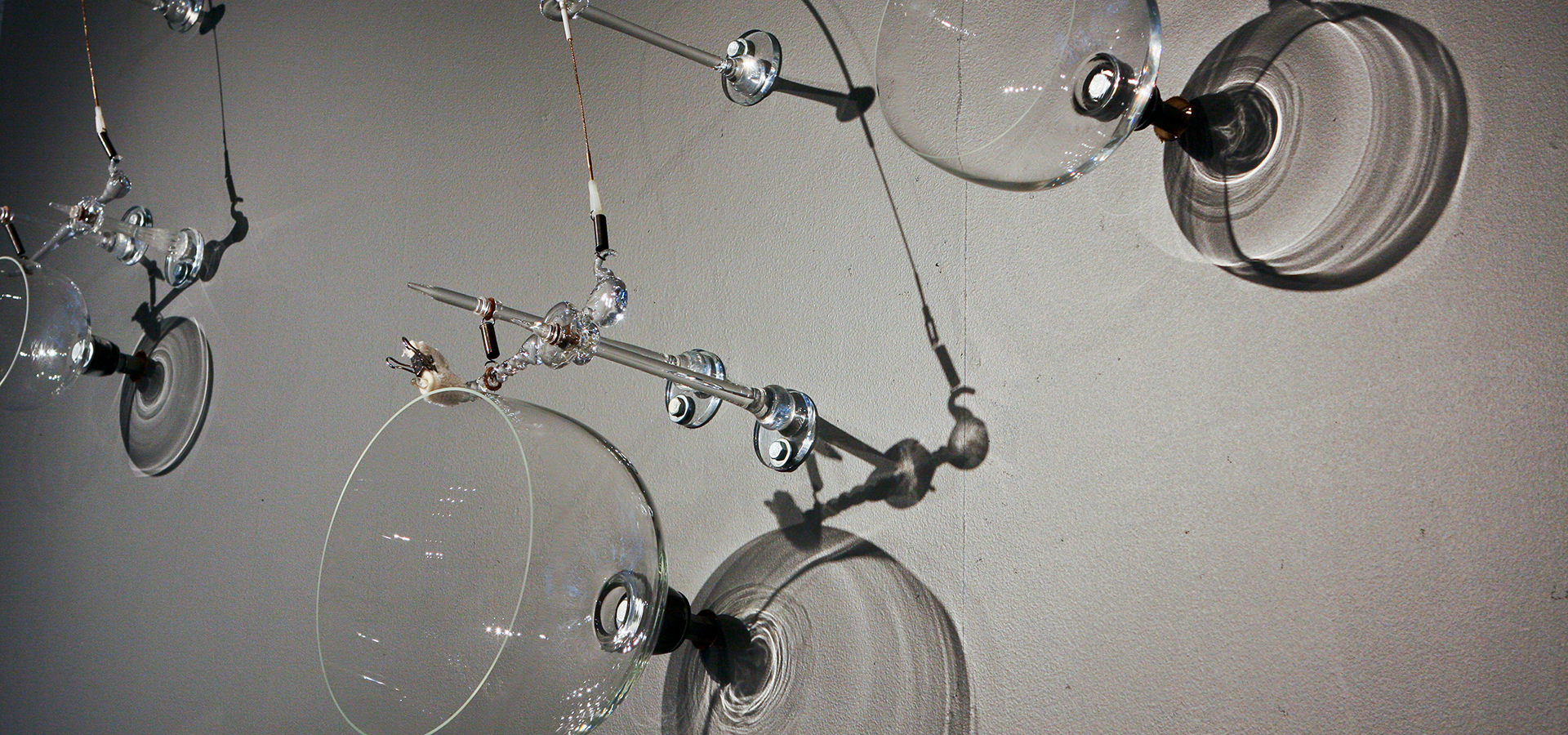 close up photo of glass goblet shaped objects hanging on a grey wall.