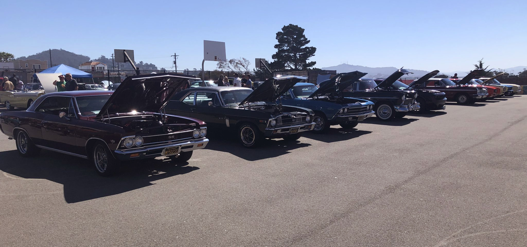 Photo of a row of classic cars with their hoods up