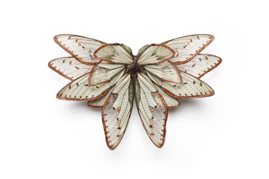 Cicada broach jewelry
