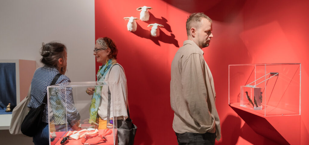 photograph of people in MCD's gallery at the "Wunderkammer" exhibition